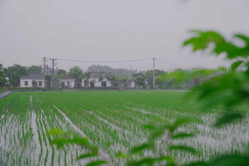 搶抓農(nóng)時促春耕 夯實基礎保發(fā)展——余旭峰強調扎實推進農(nóng)業(yè)開發(fā)確保全年農(nóng)業(yè)農(nóng)村經(jīng)濟良好態(tài)勢